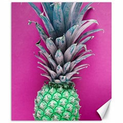 Green Pineapple Canvas 20  X 24 