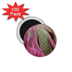 Pink Leaves 1 75  Magnets (100 Pack)  by snowwhitegirl