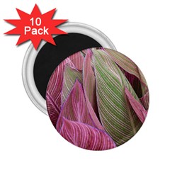 Pink Leaves 2 25  Magnets (10 Pack)  by snowwhitegirl