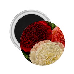 Flowers 1776584 1920 2 25  Magnets by vintage2030