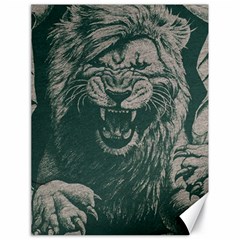 Angry Male Lion Pattern Graphics Kazakh Al Fabric Canvas 18  X 24  by Sapixe