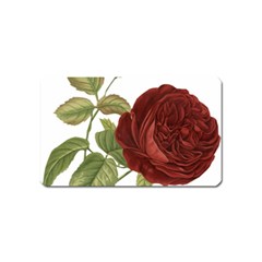 Rose 1077964 1280 Magnet (name Card) by vintage2030