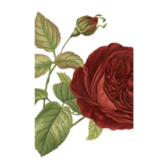 Rose 1077964 1280 Shower Curtain 48  X 72  (small)  by vintage2030