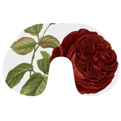 Rose 1077964 1280 Travel Neck Pillows by vintage2030