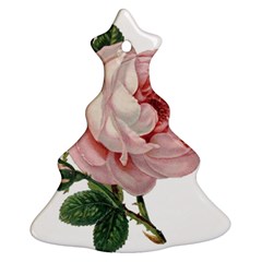 Rose 1078272 1920 Ornament (christmas Tree)  by vintage2030