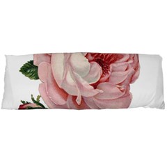 Rose 1078272 1920 Body Pillow Case (dakimakura) by vintage2030