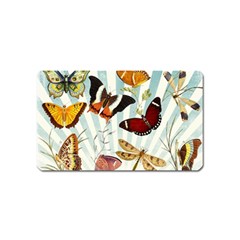 Butterfly 1064147 1920 Magnet (name Card) by vintage2030