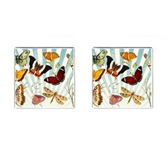 Butterfly 1064147 1920 Cufflinks (square) by vintage2030