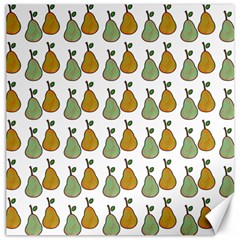 Pears White Canvas 20  X 20 