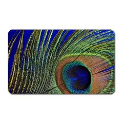 Peacock Feather Macro Peacock Bird Magnet (rectangular) by Simbadda