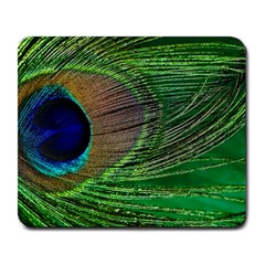 Peacock Feather Macro Peacock Bird Large Mousepads by Simbadda