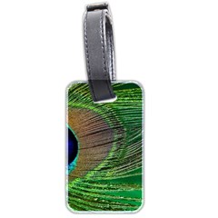 Peacock Feather Macro Peacock Bird Luggage Tags (Two Sides)
