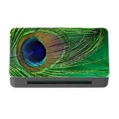 Peacock Feather Macro Peacock Bird Memory Card Reader with CF