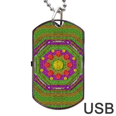 Flowers In Rainbows For Ornate Joy Dog Tag Usb Flash (two Sides) by pepitasart