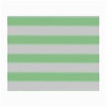 Bold Stripes Soft Green Small Glasses Cloth (2-Side) Front