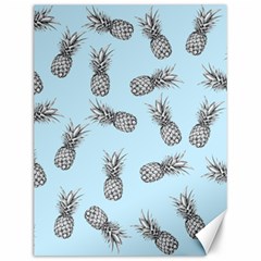 Pineapple Pattern Canvas 12  X 16  by Valentinaart
