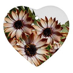Sun Daisies Leaves Flowers Ornament (heart) by Celenk