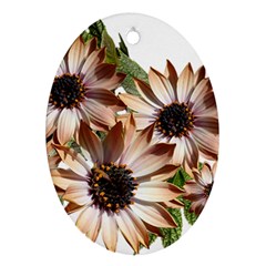 Sun Daisies Leaves Flowers Oval Ornament (two Sides) by Celenk