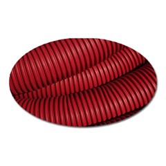 Tube Plastic Red Rip Oval Magnet by Celenk