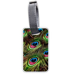 Peacock Feathers Color Plumage Luggage Tags (one Side)  by Celenk