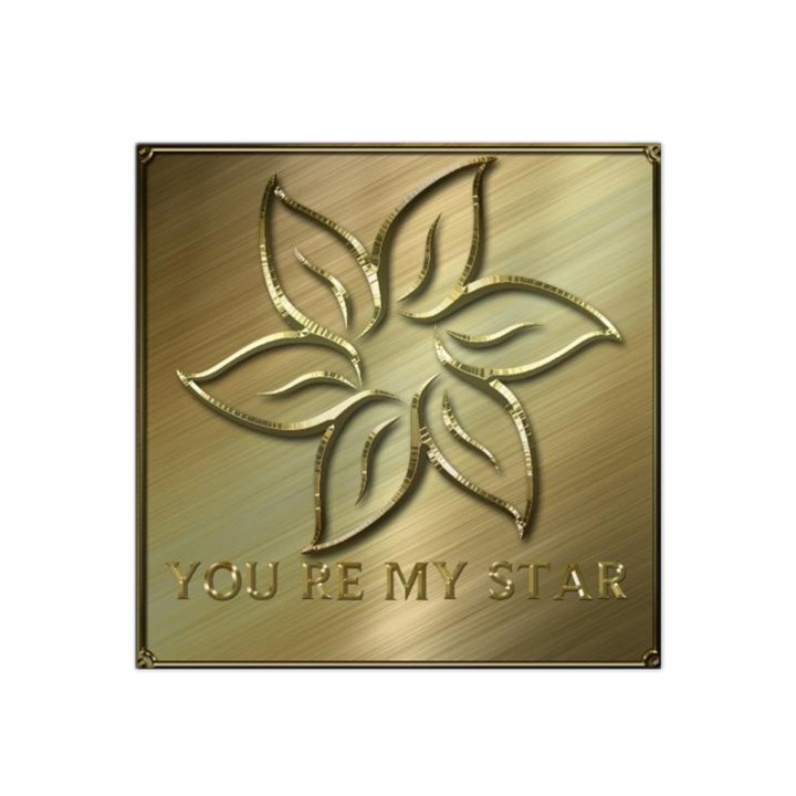 You are my star Satin Bandana Scarf