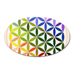 Mandala Rainbow Colorful Reiki Oval Magnet