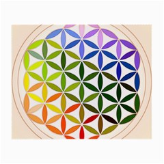 Mandala Rainbow Colorful Reiki Small Glasses Cloth (2-side) by Simbadda