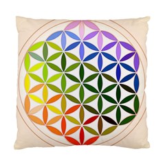 Mandala Rainbow Colorful Reiki Standard Cushion Case (one Side) by Simbadda