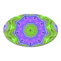 Abstract Art Colorful Oval Magnet