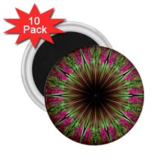 Julian Star Star Fun Green Violet 2 25  Magnets (10 Pack)  by Simbadda