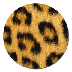 Animal Print Leopard Magnet 5  (round) by NSGLOBALDESIGNS2
