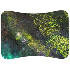 Deep In The Reef Velour Seat Head Rest Cushion by ArtByAng