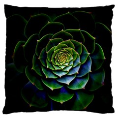 Nature Desktop Flora Color Pattern Large Flano Cushion Case (two Sides) by Nexatart