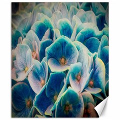 Hydrangeas Blossom Bloom Blue Canvas 8  X 10 