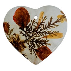 Holy Land Flowers 2 Heart Ornament (two Sides) by DeneWestUK