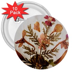 Holy Land Flowers 4 3  Buttons (10 Pack)  by DeneWestUK