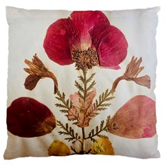 Holy Land Flowers 6 Standard Flano Cushion Case (one Side) by DeneWestUK