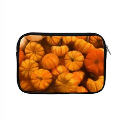 Pumpkins Tiny Gourds Pile Apple Macbook Pro 15  Zipper Case by bloomingvinedesign