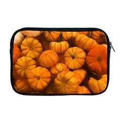 Pumpkins Tiny Gourds Pile Apple Macbook Pro 17  Zipper Case by bloomingvinedesign