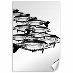 Carp Fish Canvas 20  X 30 