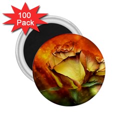 Rose Flower Petal Floral Love 2 25  Magnets (100 Pack) 