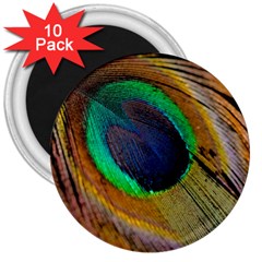 Bird Feather Background Nature 3  Magnets (10 Pack) 