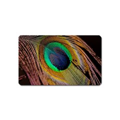 Bird Feather Background Nature Magnet (name Card) by Sapixe
