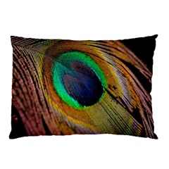 Bird Feather Background Nature Pillow Case by Sapixe