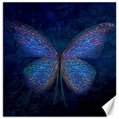 Butterfly Insect Nature Animal Canvas 20  X 20 