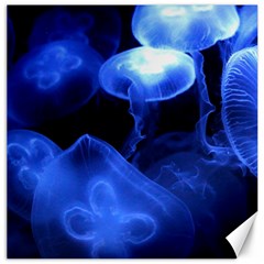 Jellyfish Sea Diving Sea Animal Canvas 20  X 20  by Sapixe