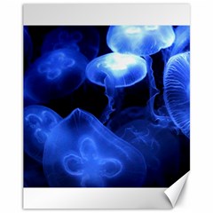 Jellyfish Sea Diving Sea Animal Canvas 11  X 14  by Sapixe