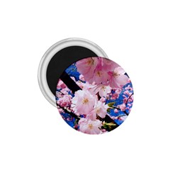 Flower Cherry Wood Tree Flowers 1 75  Magnets