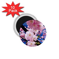 Flower Cherry Wood Tree Flowers 1 75  Magnets (10 Pack) 