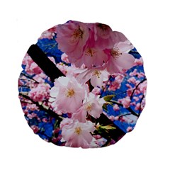 Flower Cherry Wood Tree Flowers Standard 15  Premium Round Cushions